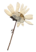 ૮₍˃̵֊ ˂̵ ₎ა